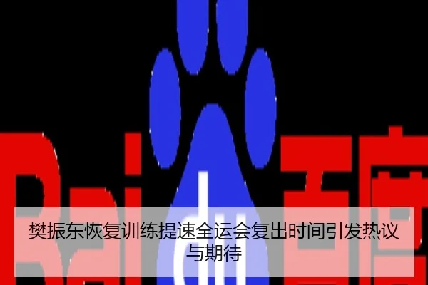 樊振东恢复训练提速全运会复出时间引发热议与期待